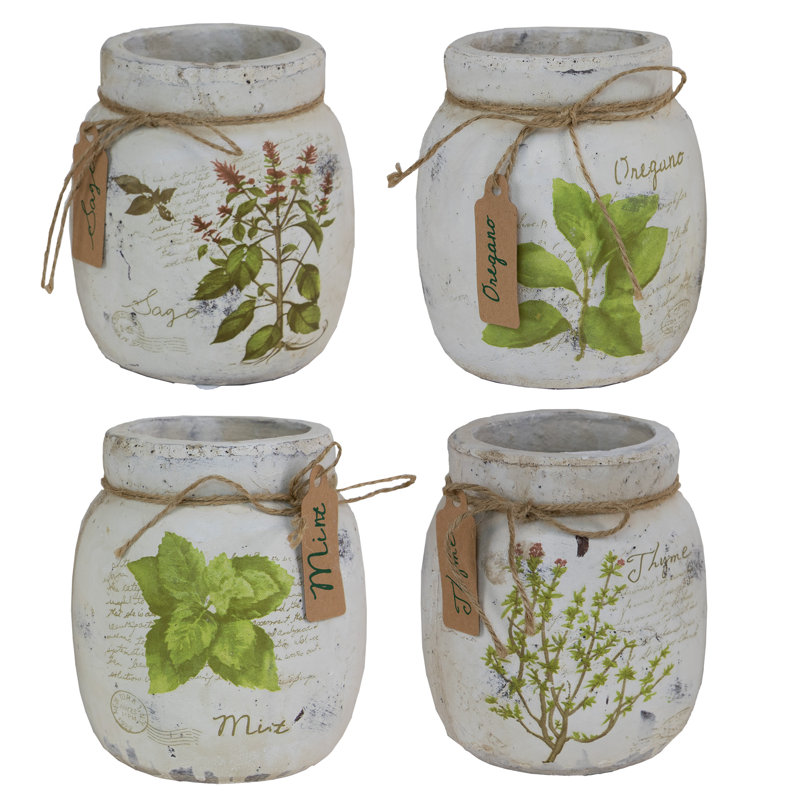 August Grove® Set of 4 Spice Jars & Reviews Wayfair